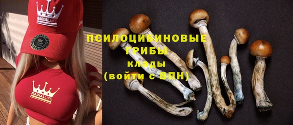 дживик Карпинск