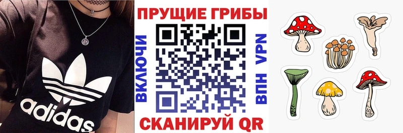 Псилоцибиновые грибы мицелий  Купить где  Богородицк 