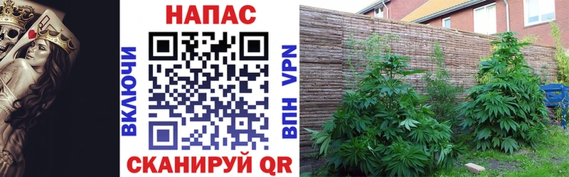 Канабис индика  Купить где  Богородицк 